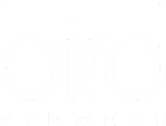 bird eyewear logo